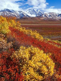 Alaska-Range -Denali-National-Park Alaska