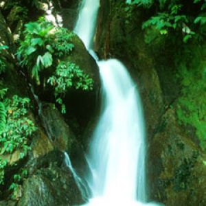 Dominica Waterfall