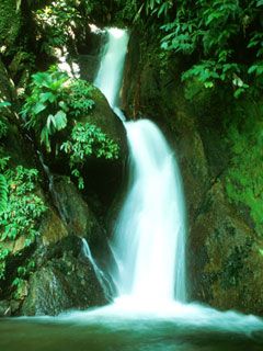 Dominica Waterfall