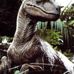 velociraptor