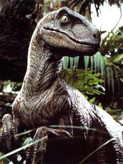 velociraptor