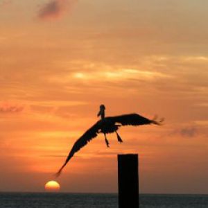 Aruba-Sunset-at Pinchos