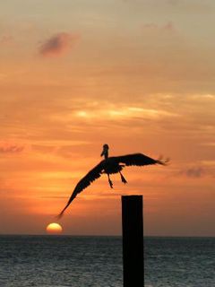 Aruba-Sunset-at Pinchos