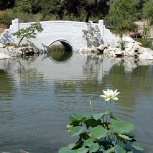 Bridgekoi S.Marino