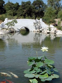 Bridgekoi S.Marino