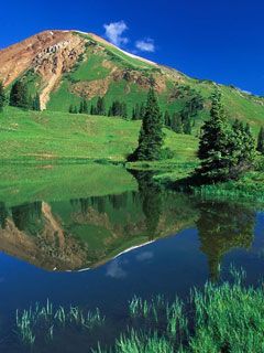 Alpine-Pond Gunnison-National Forest Colorado