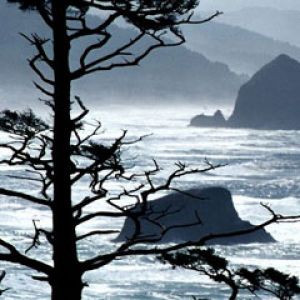 Ecola-Point -Oregon-Coast