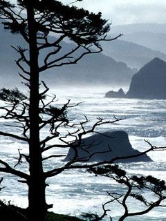 Ecola-Point -Oregon-Coast