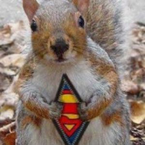 Super squirel