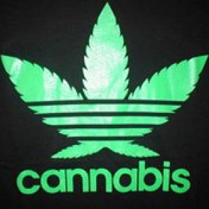 Cannabis