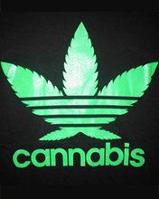 Cannabis