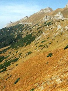 Tatry