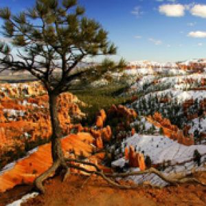 Alone on the Rim Bryce-Canyon National Park Utah