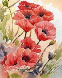 Poppies