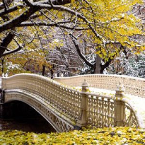 Early Snowfall - Central Park - New York