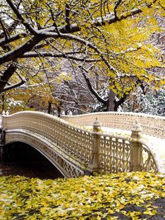 Early Snowfall - Central Park - New York