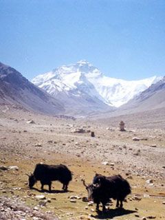 Tibet