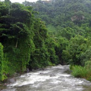 Dominica-River