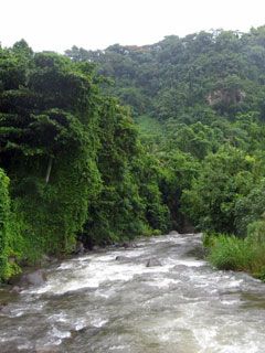 Dominica-River