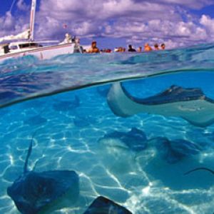 Grand-Cayman 