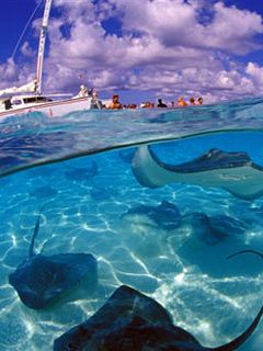 Grand-Cayman 