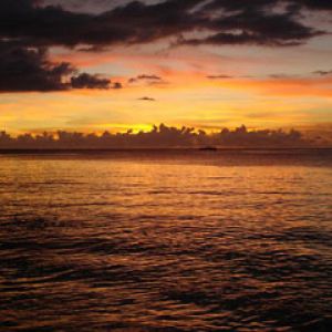 Dominica