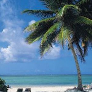 Dominica