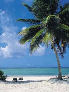 Dominica