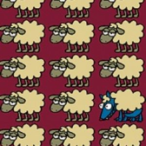 Sheeps