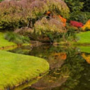 Bloedel-Reserve