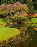 Bloedel-Reserve