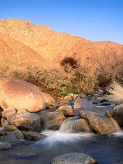 Palm-Canyon-Creek -Borrego-Palm-Canyon San-Ysidro-