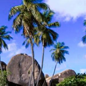 Virgin-Islands