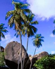 Virgin-Islands