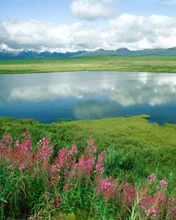 Alaska Range 