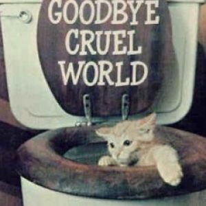 Goodbye Cruel World