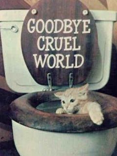 Goodbye Cruel World