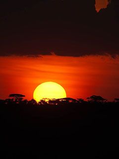 Serengeti-Sunset