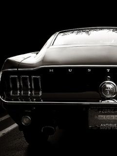 mustang