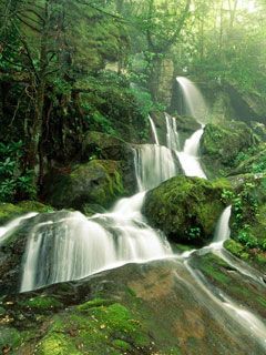 Cliff Branch Falls Great Smoky Mountains National-