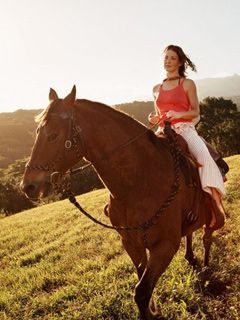 Evangeline Lilly 