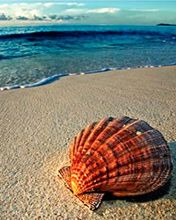  seychelles 