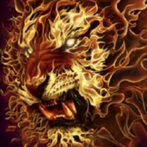 Firetiger