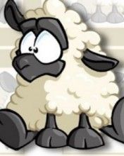 Sheep