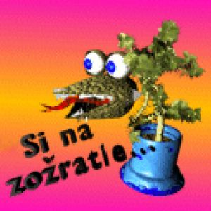 Si na zozratie
