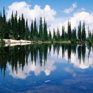 Balsam-Lake-Mount-Revelstoke-National-Park British