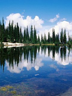 Balsam-Lake-Mount-Revelstoke-National-Park British