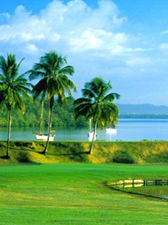 Martinique