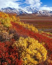 Alaska-Range Denali-National-Park -Alaska