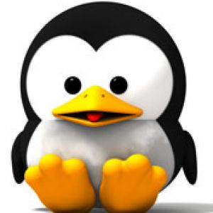 BabyTuxSit